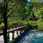 Toni * Drniš